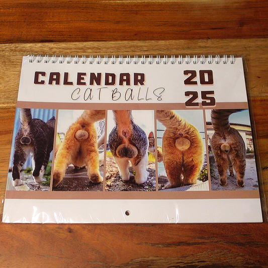 Kalender 2025 'Cat Balls'